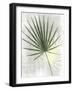 Cabana 1-Denise Brown-Framed Art Print