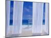 Cabana, 2005-Lincoln Seligman-Mounted Giclee Print