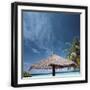 Black Frame