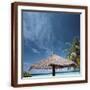 Brown Frame