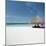 Cabana at the Beach-null-Mounted Photographic Print