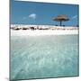 Cabana at the Beach-null-Mounted Photographic Print