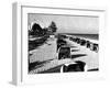 Cabanas on a Fort Lauderdale Beach, 1954-null-Framed Photographic Print