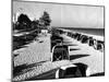 Cabanas on a Fort Lauderdale Beach, 1954-null-Mounted Photographic Print