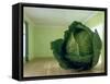 Cabbage (After Magritte) 1995-Norman Hollands-Framed Stretched Canvas