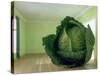 Cabbage (After Magritte) 1995-Norman Hollands-Stretched Canvas