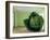 Cabbage (After Magritte) 1995-Norman Hollands-Framed Photographic Print