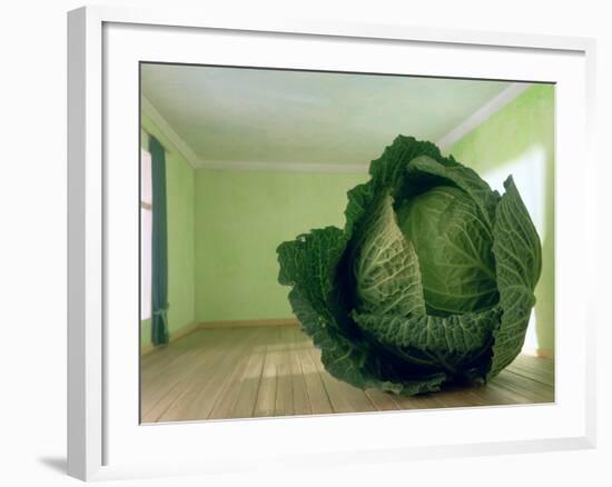 Cabbage (After Magritte) 1995-Norman Hollands-Framed Photographic Print