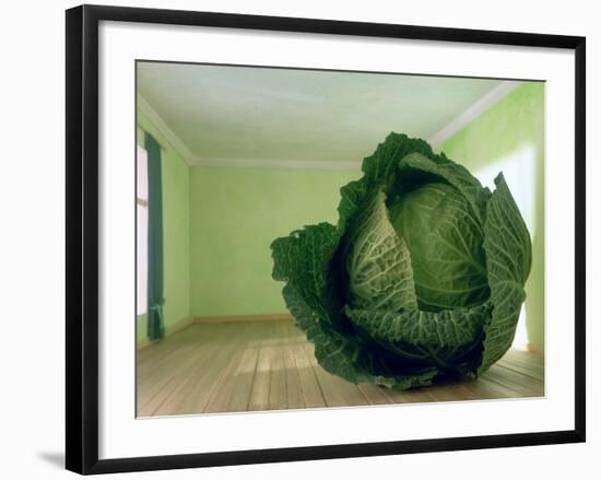 Cabbage (After Magritte) 1995-Norman Hollands-Framed Photographic Print