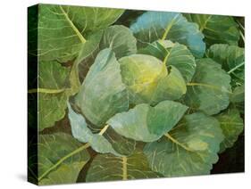 Cabbage (Blue), 2014-Jennifer Abbott-Stretched Canvas