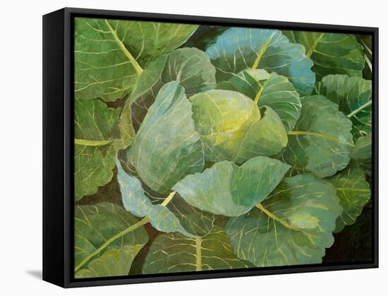 Cabbage (Blue), 2014-Jennifer Abbott-Framed Stretched Canvas