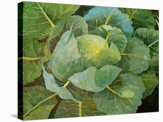 Cabbage (Blue), 2014-Jennifer Abbott-Stretched Canvas