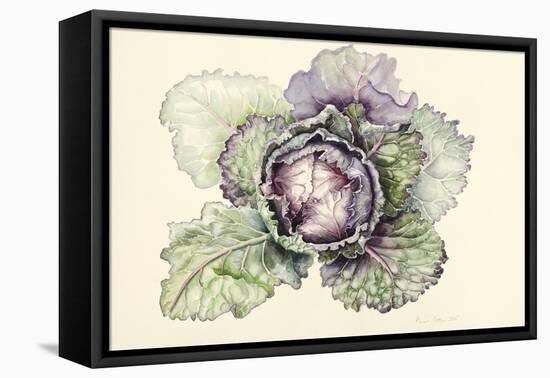 Cabbage from the Market-Alison Cooper-Framed Stretched Canvas