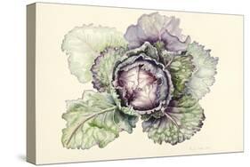 Cabbage from the Market-Alison Cooper-Stretched Canvas