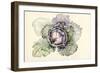 Cabbage from the Market-Alison Cooper-Framed Giclee Print