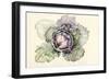 Cabbage from the Market-Alison Cooper-Framed Giclee Print