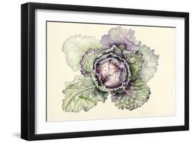 Cabbage from the Market-Alison Cooper-Framed Giclee Print