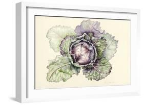 Cabbage from the Market-Alison Cooper-Framed Giclee Print