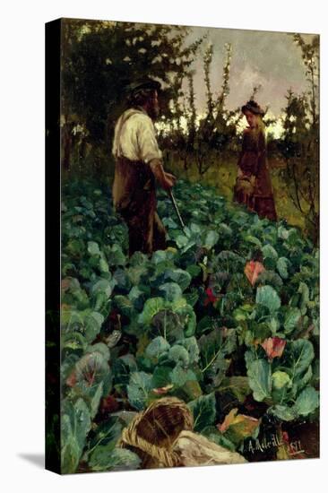 Cabbage Garden, 1877-Arthur Melville-Stretched Canvas