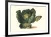 Cabbage Head-Philippe-Victoire Leveque de Vilmorin-Framed Premium Giclee Print