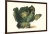 Cabbage Head-Philippe-Victoire Leveque de Vilmorin-Framed Art Print