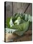 Cabbage on Chopping Board in Front of Wooden Wall-null-Stretched Canvas