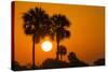 Cabbage Palms at Sunrise, Florida Bay, Everglades NP, Florida, Usa-Maresa Pryor-Stretched Canvas