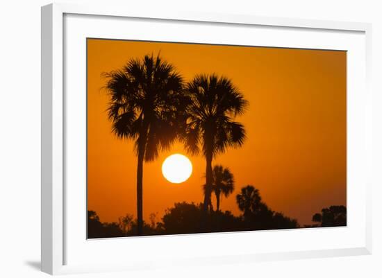 Cabbage Palms at Sunrise, Florida Bay, Everglades NP, Florida, Usa-Maresa Pryor-Framed Photographic Print