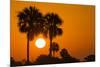 Cabbage Palms at Sunrise, Florida Bay, Everglades NP, Florida, Usa-Maresa Pryor-Mounted Photographic Print
