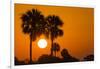 Cabbage Palms at Sunrise, Florida Bay, Everglades NP, Florida, Usa-Maresa Pryor-Framed Photographic Print