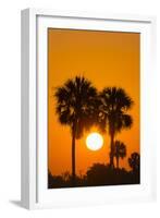 Cabbage Palms at Sunrise, Florida Bay, Everglades NP, Florida, Usa-Maresa Pryor-Framed Photographic Print