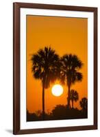 Cabbage Palms at Sunrise, Florida Bay, Everglades NP, Florida, Usa-Maresa Pryor-Framed Photographic Print