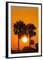 Cabbage Palms at Sunrise, Florida Bay, Everglades NP, Florida, Usa-Maresa Pryor-Framed Photographic Print