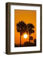 Cabbage Palms at Sunrise, Florida Bay, Everglades NP, Florida, Usa-Maresa Pryor-Framed Photographic Print