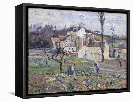 Cabbage Patch Near the Village, 1875-Camille Pissarro-Framed Stretched Canvas