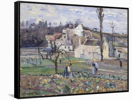 Cabbage Patch Near the Village, 1875-Camille Pissarro-Framed Stretched Canvas