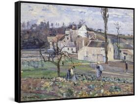 Cabbage Patch Near the Village, 1875-Camille Pissarro-Framed Stretched Canvas