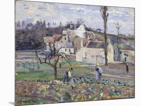 Cabbage Patch Near the Village, 1875-Camille Pissarro-Mounted Giclee Print