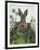 Cabbage Patch Rabbit 1-null-Framed Art Print