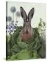 Cabbage Patch Rabbit 1-null-Stretched Canvas