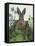 Cabbage Patch Rabbit 1-null-Framed Stretched Canvas