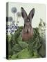 Cabbage Patch Rabbit 1-null-Stretched Canvas