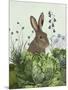 Cabbage Patch Rabbit 2-null-Mounted Art Print