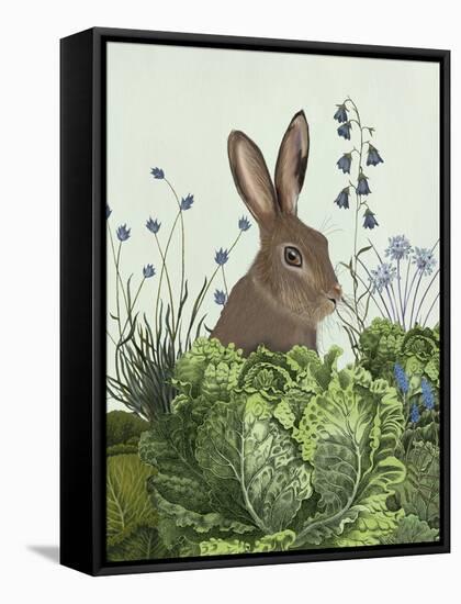 Cabbage Patch Rabbit 2-null-Framed Stretched Canvas