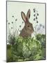 Cabbage Patch Rabbit 2-null-Mounted Art Print