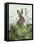 Cabbage Patch Rabbit 2-null-Framed Stretched Canvas