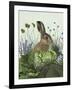 Cabbage Patch Rabbit 3-null-Framed Art Print