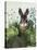 Cabbage Patch Rabbit 4-null-Stretched Canvas