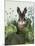 Cabbage Patch Rabbit 4-null-Mounted Art Print