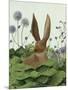Cabbage Patch Rabbit 5-null-Mounted Art Print